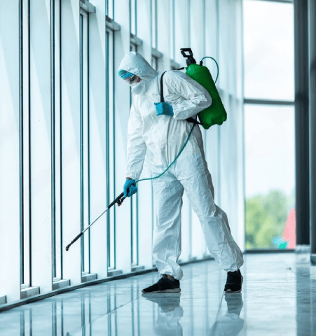 Importance of Pest Control Services
